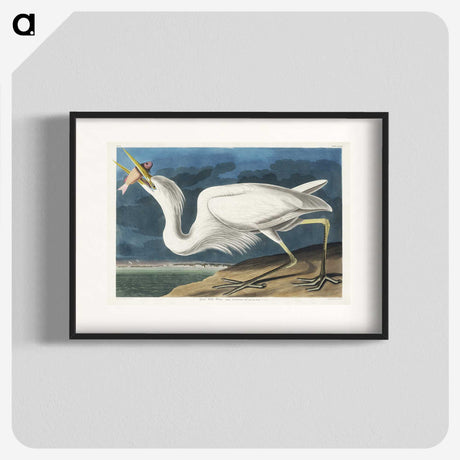 1-41_John-James-Audubon_blk