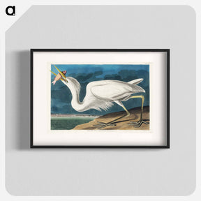 アートポスター-Great White Heron
 - ジョン ジェームス オーデュボン Poster.