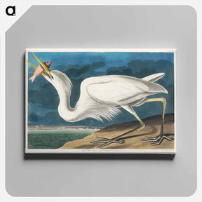 アートパネル-Great White Heron
 - ジョン ジェームス オーデュボン Canvas.