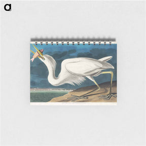 アートメモ帳-Great White Heron
 - ジョン ジェームス オーデュボン Memo.