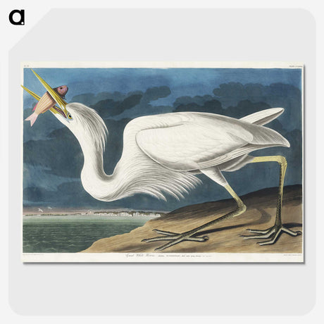 1-41_John-James-Audubon_picture-crop