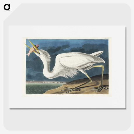 1-41_John-James-Audubon_picture