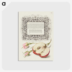 1-41_Joris-Hoefnagel_postcard