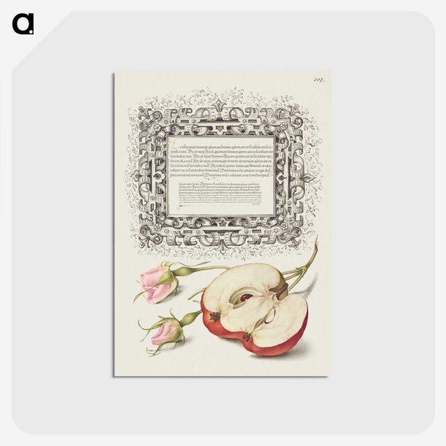 1-41_Joris-Hoefnagel_postcard