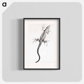 アートポスター-Lizard - ユリー デ フラーハ Poster.
