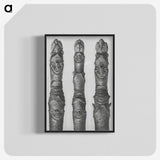 1-41_Karl-Blossfeldt_blk-crop