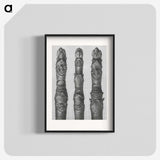 1-41_Karl-Blossfeldt_blk