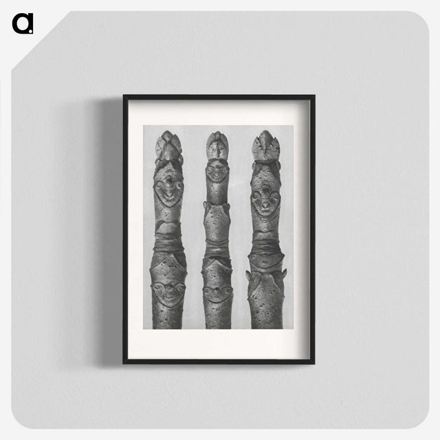 1-41_Karl-Blossfeldt_blk