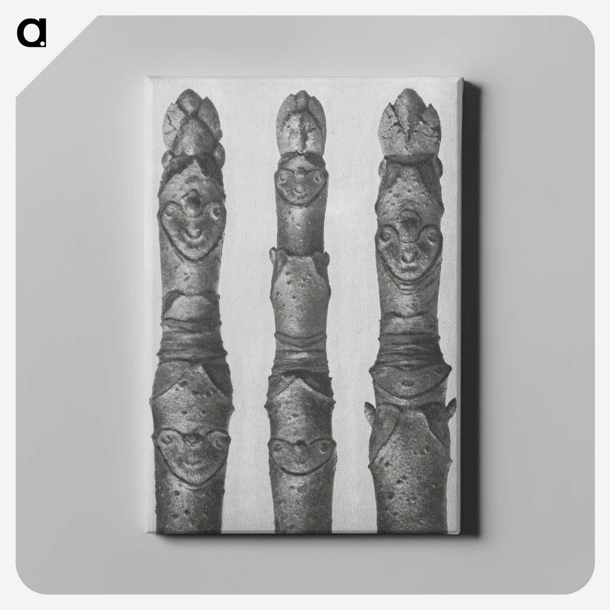 1-41_Karl-Blossfeldt_canvas