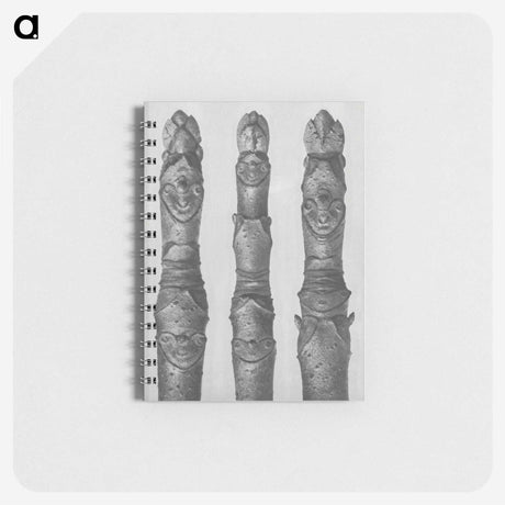 1-41_Karl-Blossfeldt_memo
