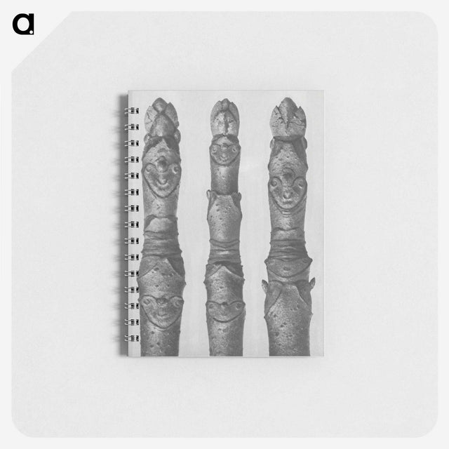 1-41_Karl-Blossfeldt_memo