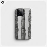 1-41_Karl-Blossfeldt_phone