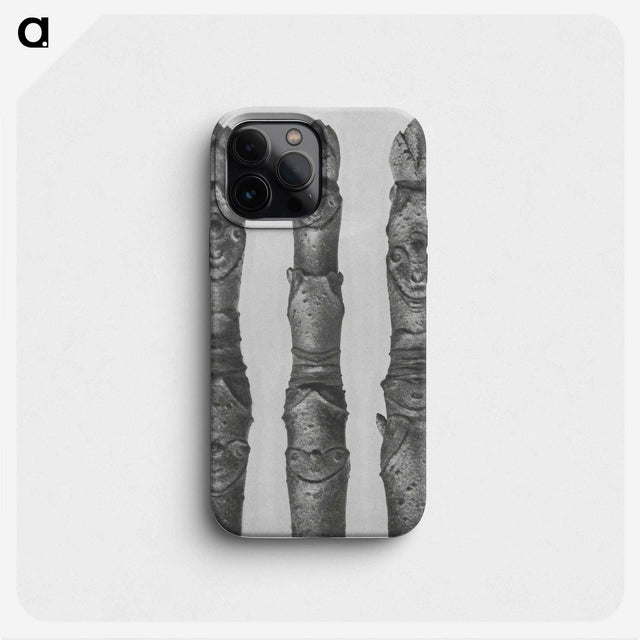 1-41_Karl-Blossfeldt_phone