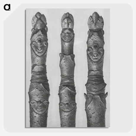 1-41_Karl-Blossfeldt_picture-crop