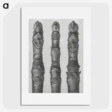 1-41_Karl-Blossfeldt_picture
