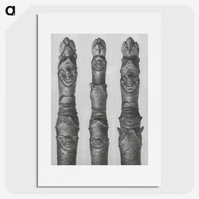 1-41_Karl-Blossfeldt_picture