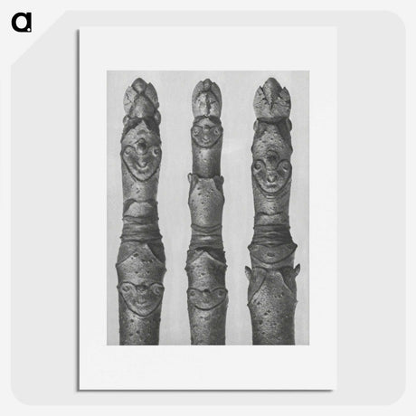 1-41_Karl-Blossfeldt_picture