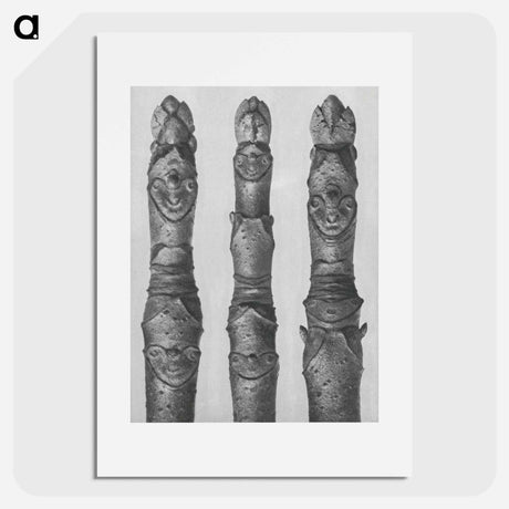 アートポスター-Aesculus parviflora (Horse–Chestnut) yong shoots enlarged 12 times - カール ブロスフェルト Poster.