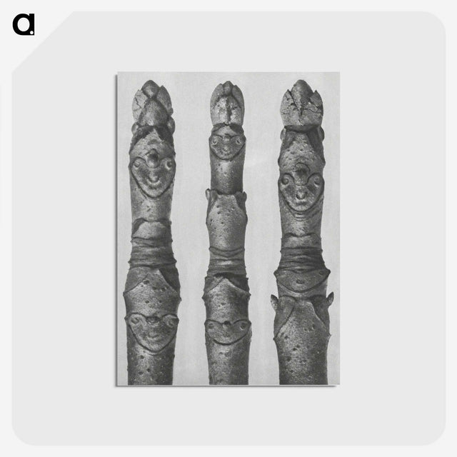 1-41_Karl-Blossfeldt_postcard