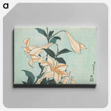 Lilies - 葛飾 北斎 Canvas.