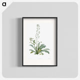 1-41_La-Botanique_blk