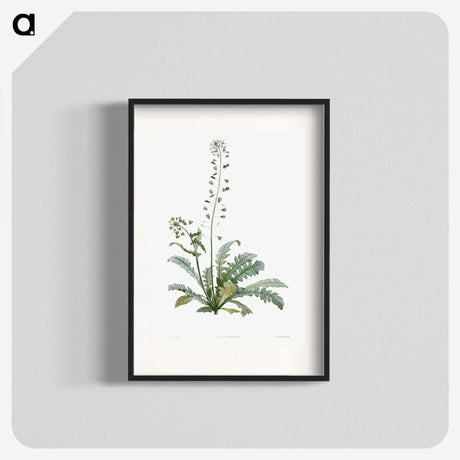 1-41_La-Botanique_blk