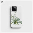 1-41_La-Botanique_phone