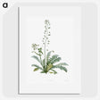 1-41_La-Botanique_picture