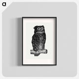 Owl - レオ ゲステル Poster.