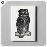 Owl - レオ ヘステル Canvas.