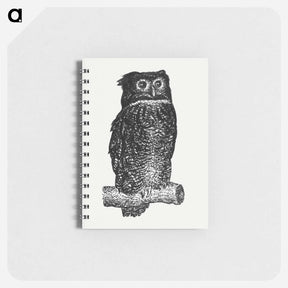 アートメモ帳-Owl - レオ ヘステル Memo.