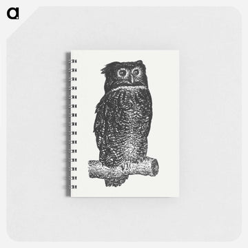 Owl - レオ ヘステル Memo.