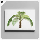 1-41_Les-Palmiers-Histoire-Iconographique_canvas