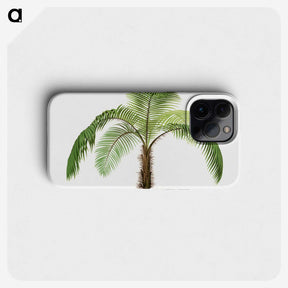 1-41_Les-Palmiers-Histoire-Iconographique_phone