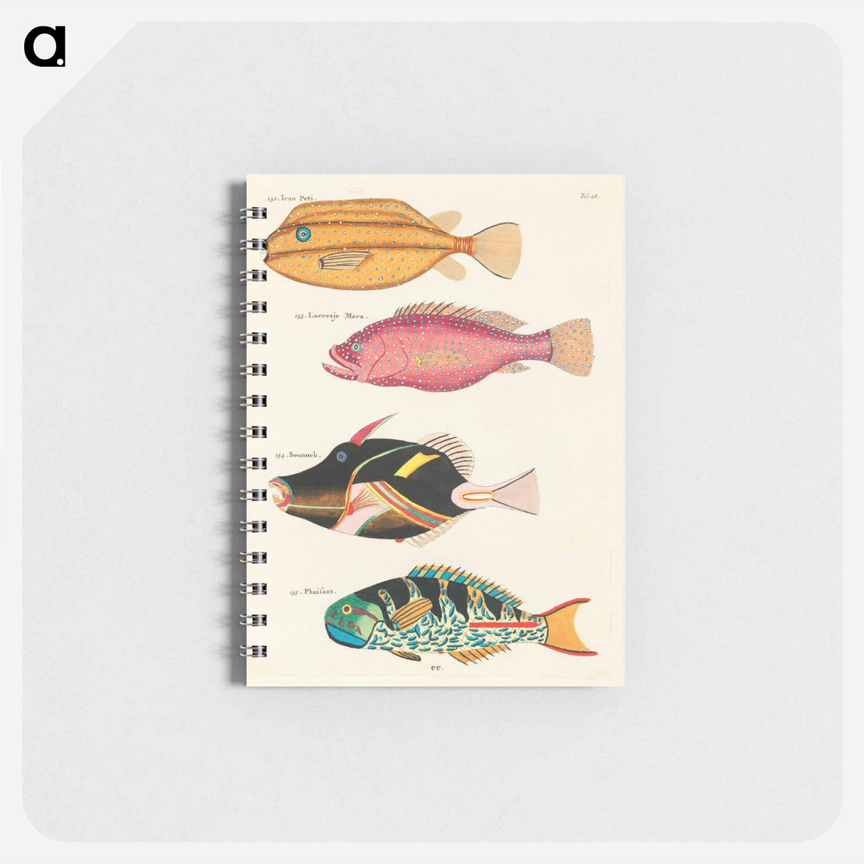 Moluccan Fishes
 - ルイ ルナール Memo.