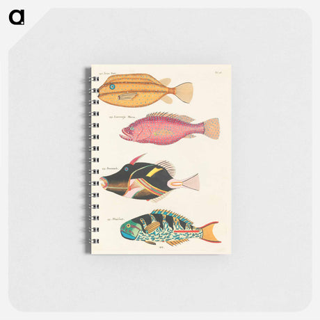 アートメモ帳-Moluccan Fishes
 - ルイ ルナール Memo.