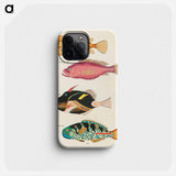 Moluccan Fishes
 - ルイ ルナール Phone Case.