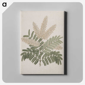 1-41_Luigi-Balugani_canvas