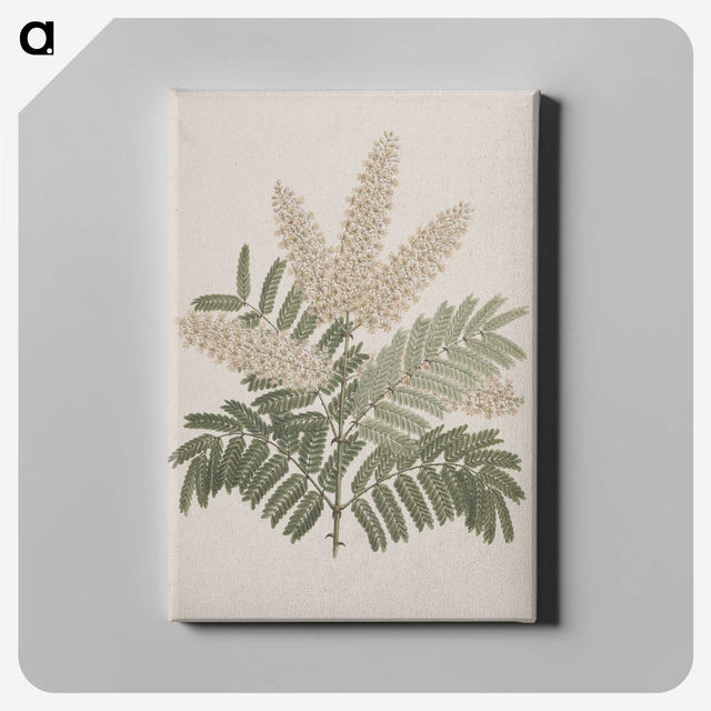 1-41_Luigi-Balugani_canvas