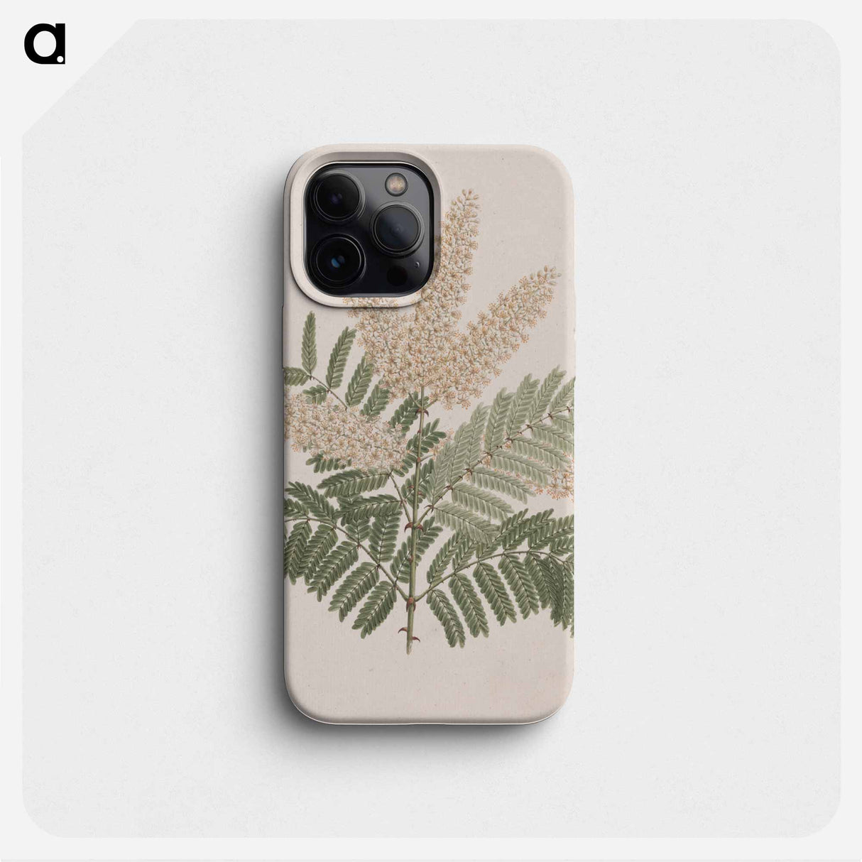 Pterolobium stellatum
 - ルイージ バルガーニ Phone Case.
