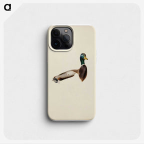 1-41_Magnus-von-Wright_phone