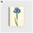 1-41_Maria-Sibylla-Merian_memo