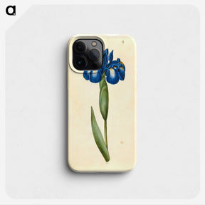 1-41_Maria-Sibylla-Merian_phone