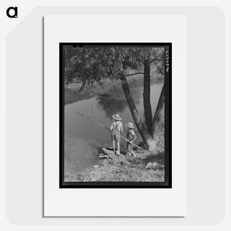 1-41_Marion-Post-Wolcott_picture