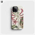 1-41_Mark-Catesby_phone