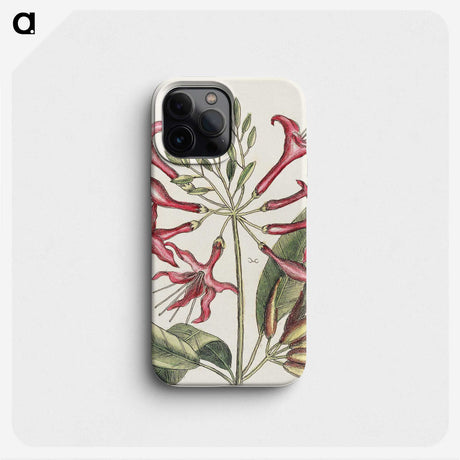 1-41_Mark-Catesby_phone