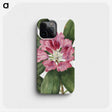 1-41_Mary-Vaux-Walcott_phone