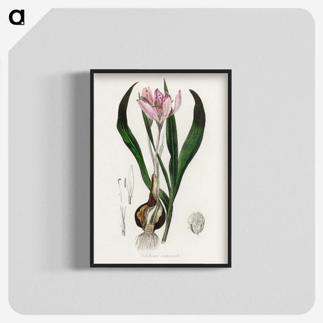 1-41_Medical-Botany_blk-crop