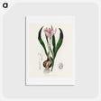 1-41_Medical-Botany_hagaki