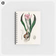 アートメモ帳-Colchicum autumnale
 - 薬用植物学 Memo.